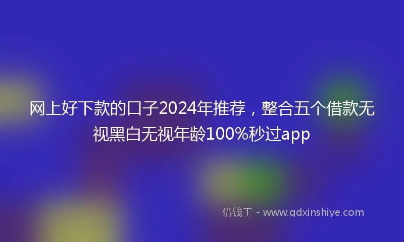 网上好下款的口子2024年推荐，整合五个借款无视黑白无视年龄100%秒过app