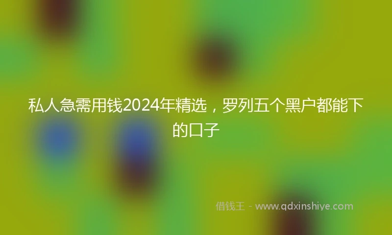 私人急需用钱2024年精选，罗列五个黑户都能下的口子