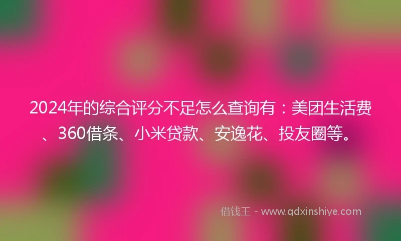 2024年的综合评分不足怎么查询有：美团生活费、360借条、小米贷款、安逸花、投友圈等。