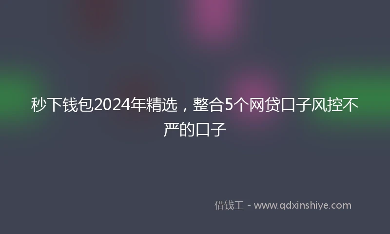 秒下钱包2024年精选，整合5个网贷口子风控不严的口子