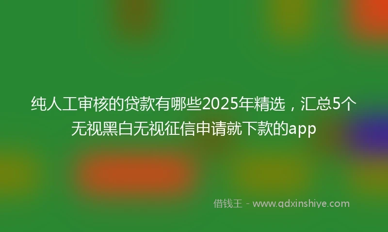 纯人工审核的贷款有哪些2025年精选，汇总5个无视黑白无视征信申请就下款的app