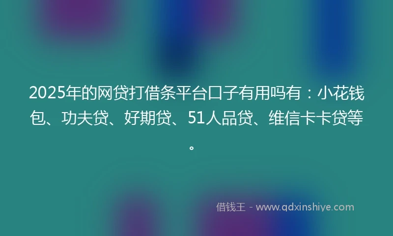 2025年的网贷打借条平台口子有用吗有：小花钱包、功夫贷、好期贷、51人品贷、维信卡卡贷等。