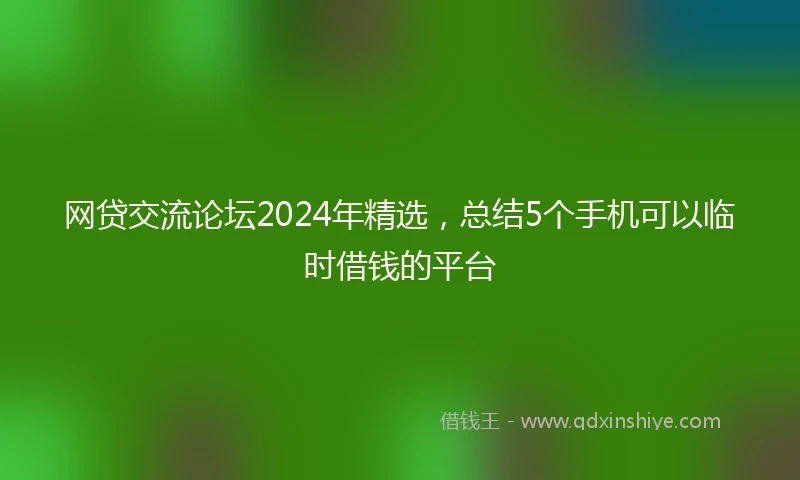 网贷交流论坛2024年精选，总结5个手机可以临时借钱的平台