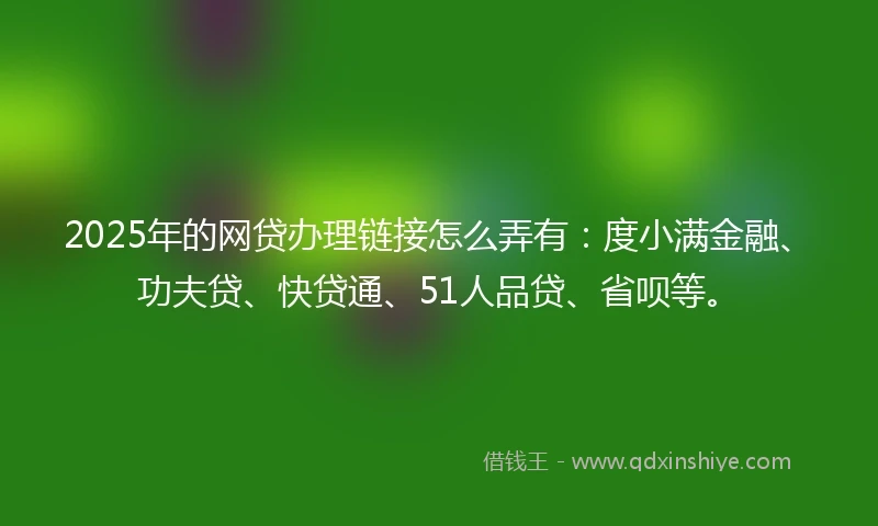 2025年的网贷办理链接怎么弄有：度小满金融、功夫贷、快贷通、51人品贷、省呗等。