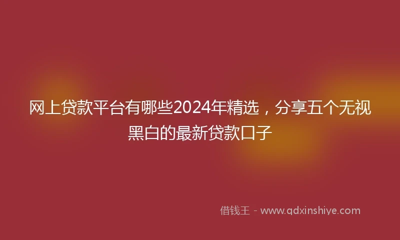 网上贷款平台有哪些2024年精选，分享五个无视黑白的最新贷款口子