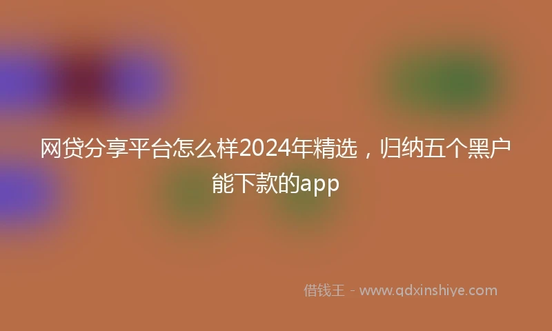 网贷分享平台怎么样2024年精选，归纳五个黑户能下款的app