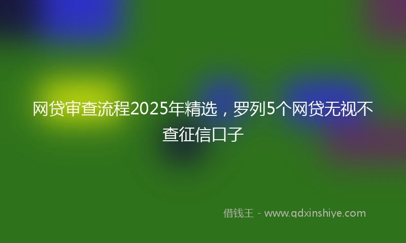 网贷审查流程2025年精选，罗列5个网贷无视不查征信口子