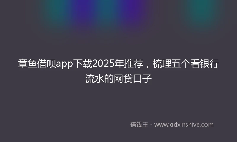 章鱼借呗app下载2025年推荐，梳理五个看银行流水的网贷口子