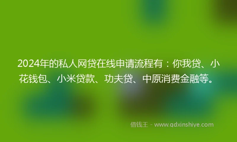 2024年的私人网贷在线申请流程有：你我贷、小花钱包、小米贷款、功夫贷、中原消费金融等。