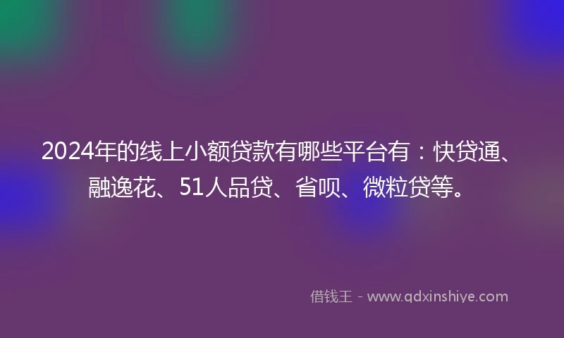 2024年的线上小额贷款有哪些平台有：快贷通、融逸花、51人品贷、省呗、微粒贷等。
