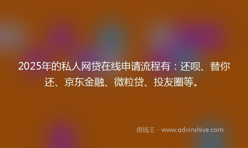 2025年的私人网贷在线申请流程有：还呗、替你还、京东金融、微粒贷、投友圈等。