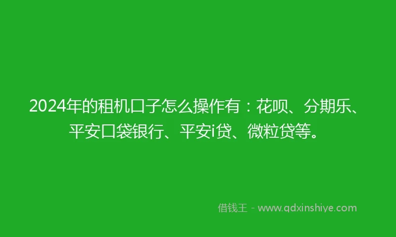 2024年的租机口子怎么操作有：花呗、分期乐、平安口袋银行、平安i贷、微粒贷等。