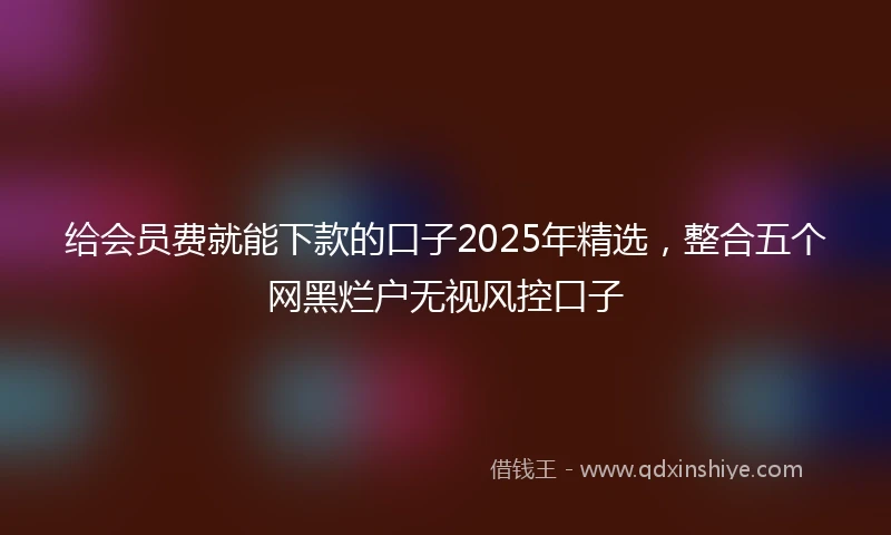 给会员费就能下款的口子2025年精选，整合五个网黑烂户无视风控口子
