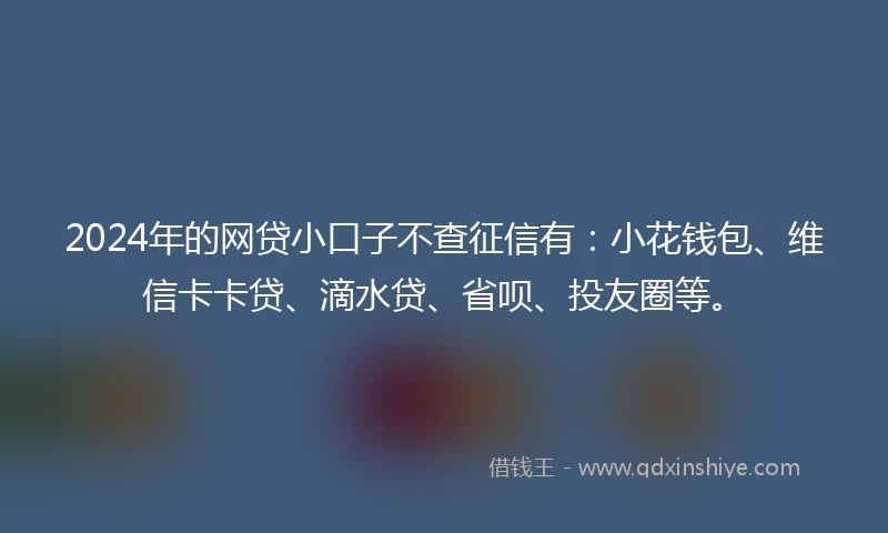 2024年的网贷小口子不查征信有:小花钱包、维信卡卡贷、滴水贷、省呗、投友圈等。