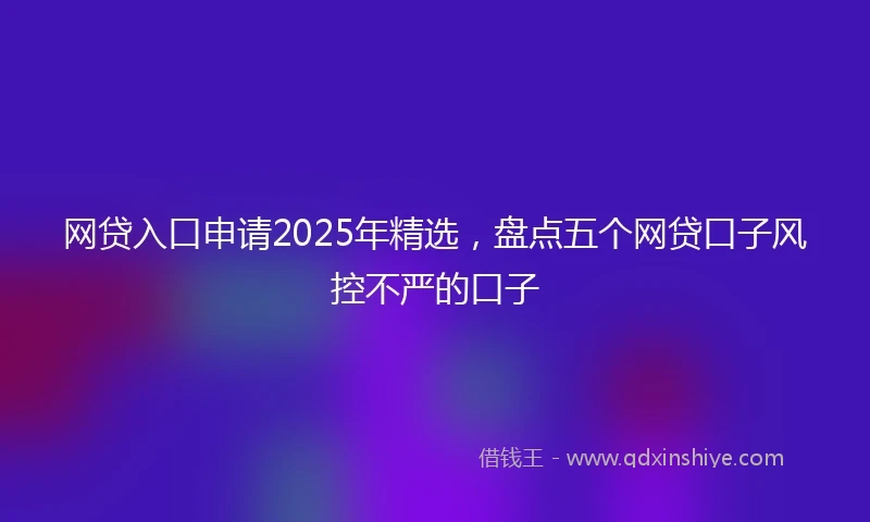 网贷入口申请2025年精选，盘点五个网贷口子风控不严的口子
