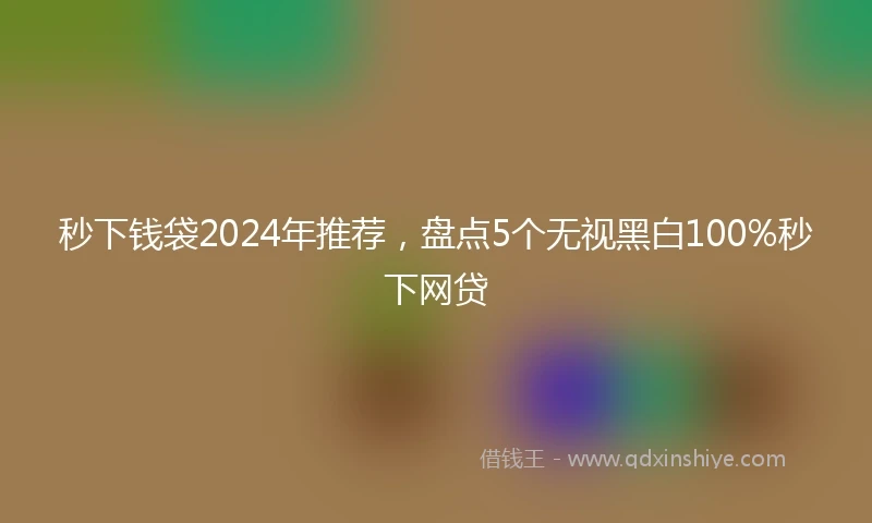秒下钱袋2024年推荐，盘点5个无视黑白100%秒下网贷