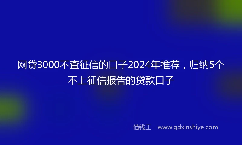 网贷3000不查征信的口子2024年推荐，归纳5个不上征信报告的贷款口子