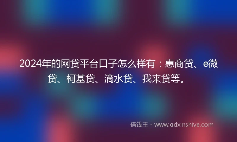 2024年的网贷平台口子怎么样有：惠商贷、e微贷、柯基贷、滴水贷、我来贷等。
