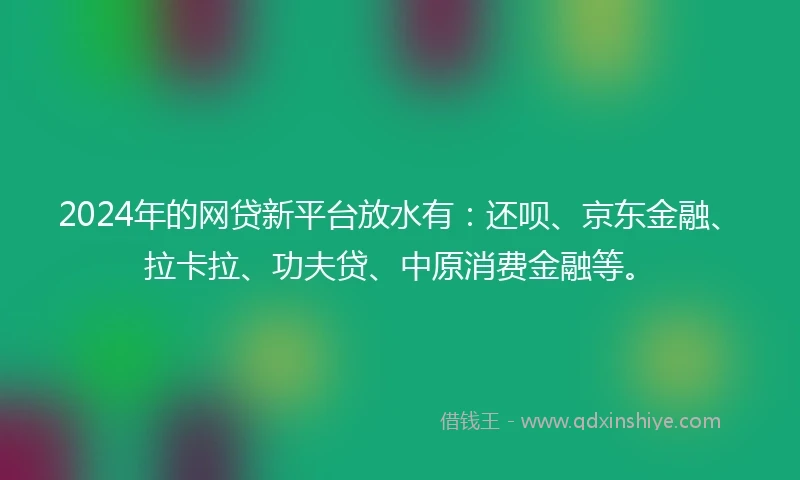 2024年的网贷新平台放水有：还呗、京东金融、拉卡拉、功夫贷、中原消费金融等。