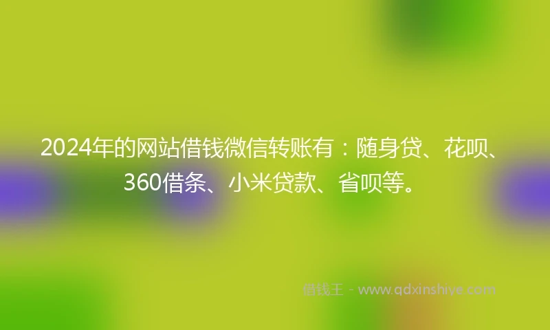 2024年的网站借钱微信转账有：随身贷、花呗、360借条、小米贷款、省呗等。