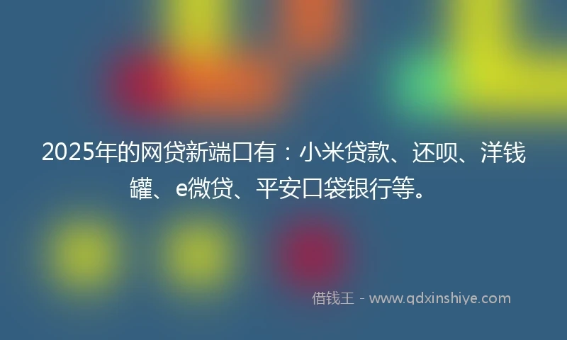 2025年的网贷新端口有：小米贷款、还呗、洋钱罐、e微贷、平安口袋银行等。