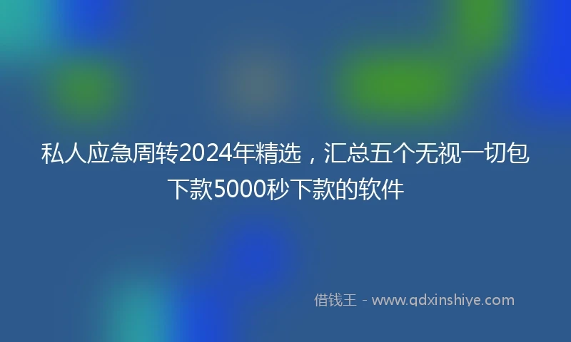 私人应急周转2024年精选，汇总五个无视一切包下款5000秒下款的软件