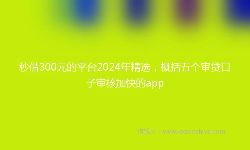 秒借300元的平台2024年精选，概括五个审贷口子审核加快的app