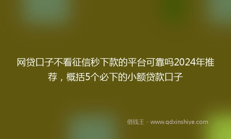 网贷口子不看征信秒下款的平台可靠吗2024年推荐，概括5个必下的小额贷款口子