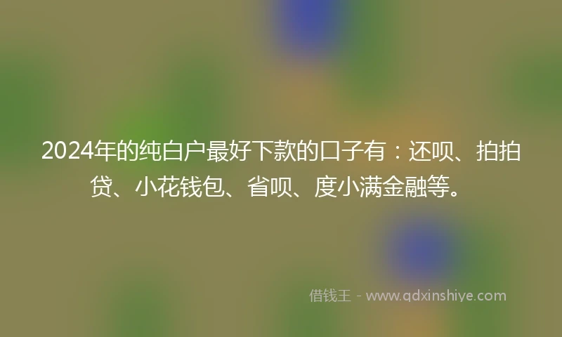 2024年的纯白户最好下款的口子有：还呗、拍拍贷、小花钱包、省呗、度小满金融等。
