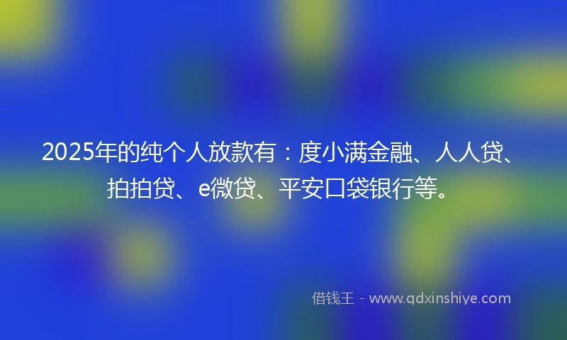 2025年的纯个人放款有：度小满金融、人人贷、拍拍贷、e微贷、平安口袋银行等。