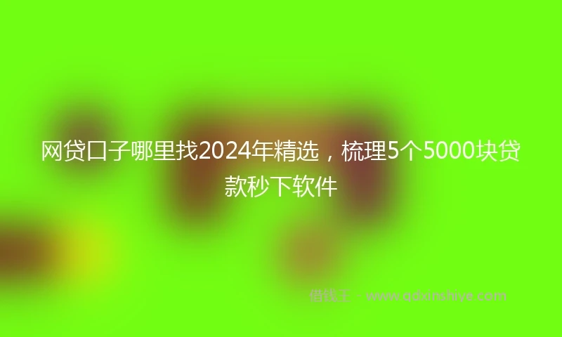 网贷口子哪里找2024年精选，梳理5个5000块贷款秒下软件