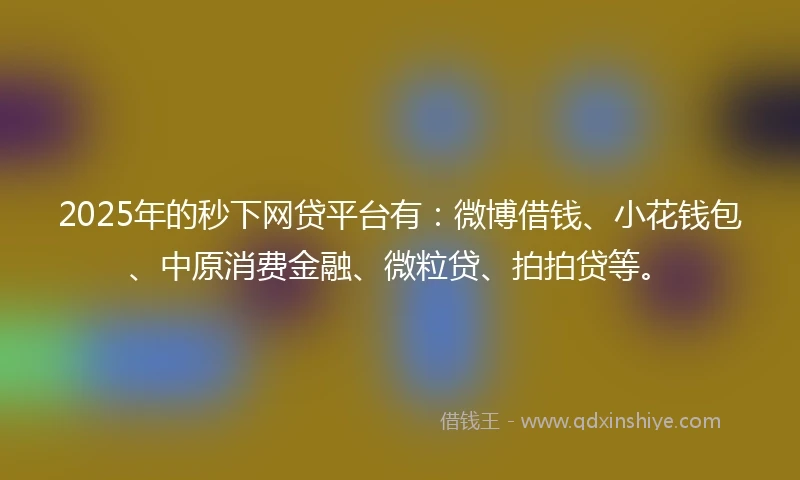 2025年的秒下网贷平台有：微博借钱、小花钱包、中原消费金融、微粒贷、拍拍贷等。
