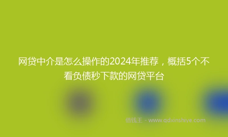 网贷中介是怎么操作的2024年推荐，概括5个不看负债秒下款的网贷平台