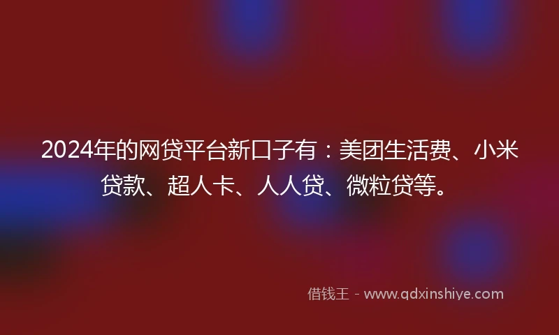 2024年的网贷平台新口子有：美团生活费、小米贷款、超人卡、人人贷、微粒贷等。