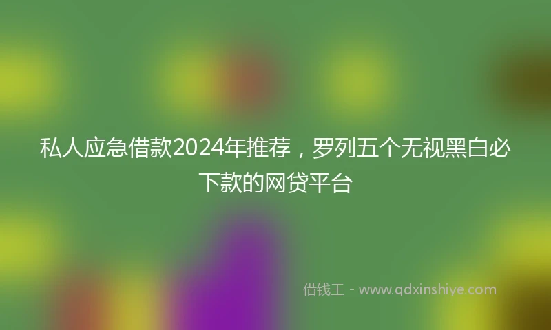 私人应急借款2024年推荐，罗列五个无视黑白必下款的网贷平台