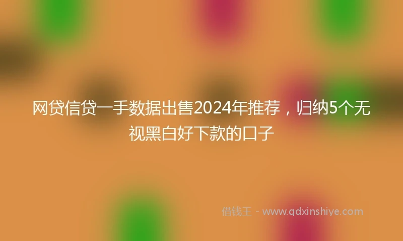 网贷信贷一手数据出售2024年推荐，归纳5个无视黑白好下款的口子