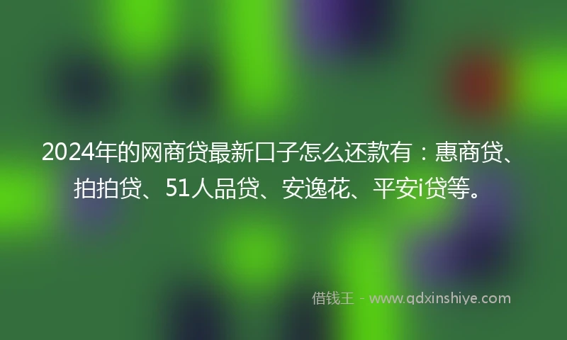 2024年的网商贷最新口子怎么还款有：惠商贷、拍拍贷、51人品贷、安逸花、平安i贷等。