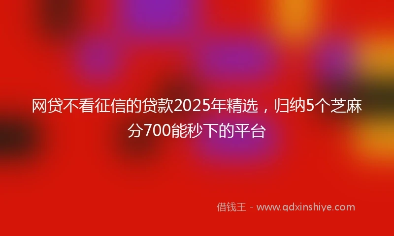 网贷不看征信的贷款2025年精选，归纳5个芝麻分700能秒下的平台