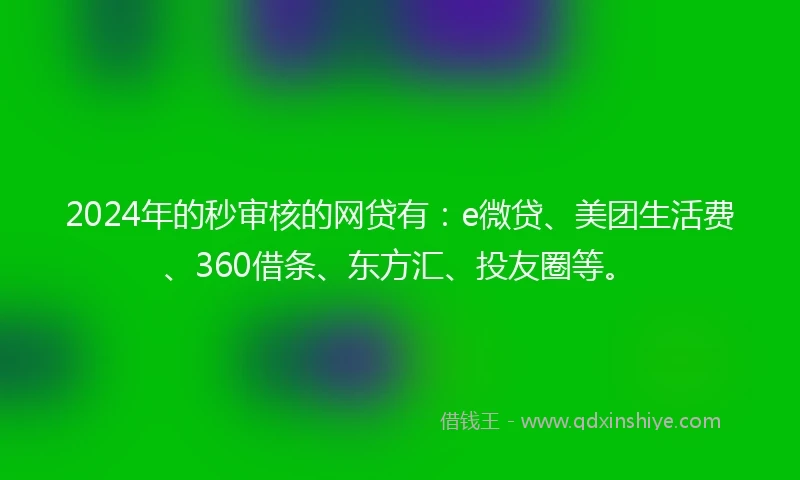 2024年的秒审核的网贷有：e微贷、美团生活费、360借条、东方汇、投友圈等。