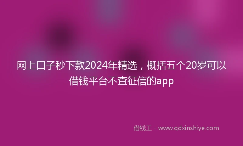 网上口子秒下款2024年精选，概括五个20岁可以借钱平台不查征信的app