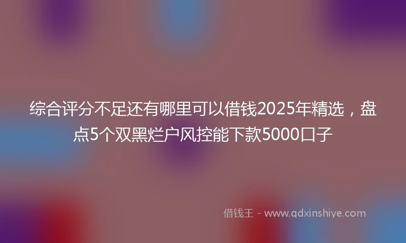 综合评分不足还有哪里可以借钱2025年精选，盘点5个双黑烂户风控能下款5000口子