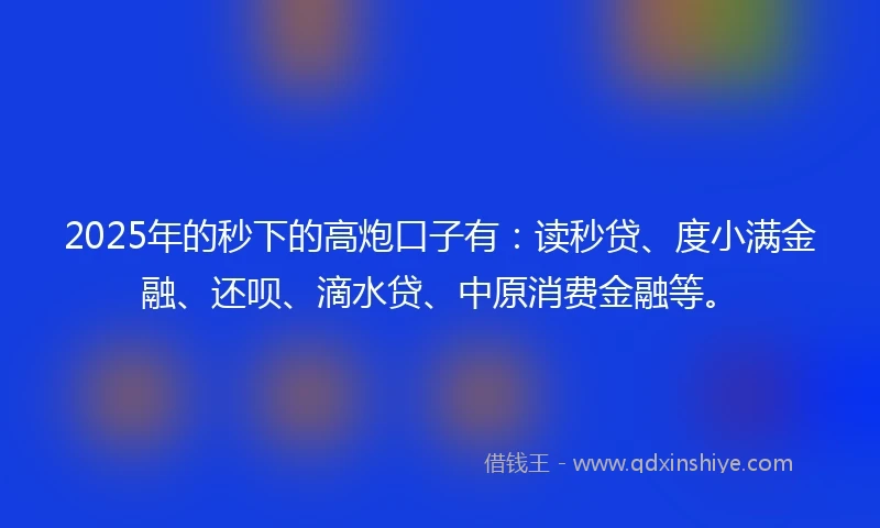 2025年的秒下的高炮口子有：读秒贷、度小满金融、还呗、滴水贷、中原消费金融等。