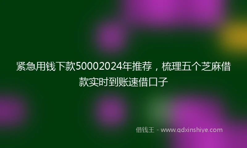 紧急用钱下款50002024年推荐，梳理五个芝麻借款实时到账速借口子