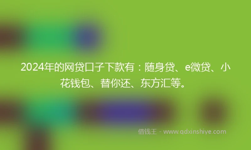 2024年的网贷口子下款有：随身贷、e微贷、小花钱包、替你还、东方汇等。