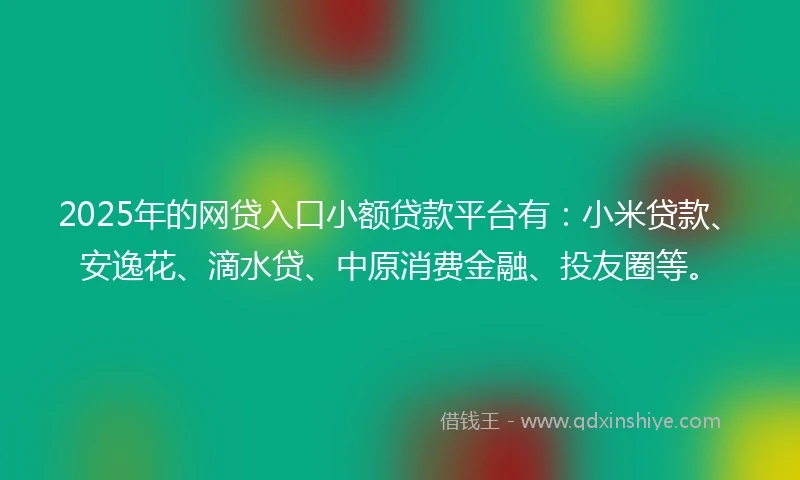 2025年的网贷入口小额贷款平台有：小米贷款、安逸花、滴水贷、中原消费金融、投友圈等。