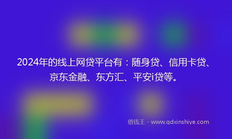 2024年的线上网贷平台有：随身贷、信用卡贷、京东金融、东方汇、平安i贷等。