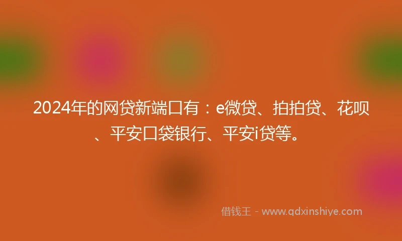 2024年的网贷新端口有：e微贷、拍拍贷、花呗、平安口袋银行、平安i贷等。