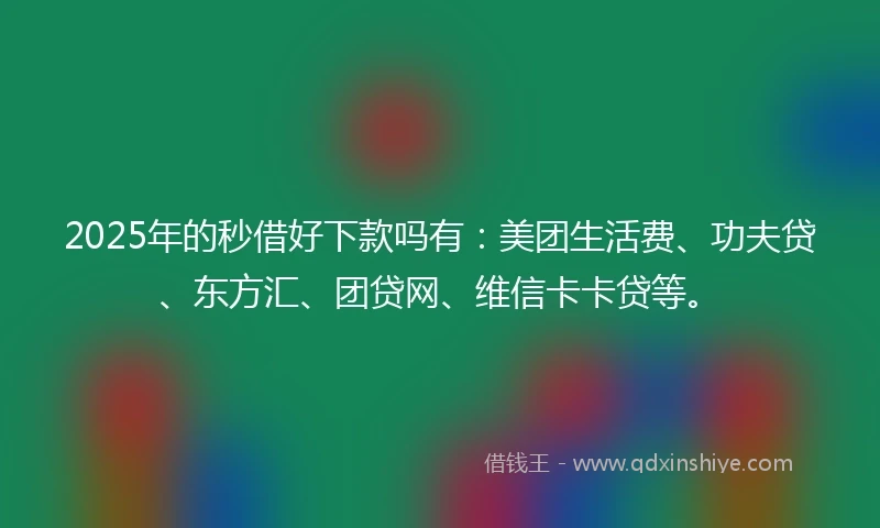 2025年的秒借好下款吗有：美团生活费、功夫贷、东方汇、团贷网、维信卡卡贷等。