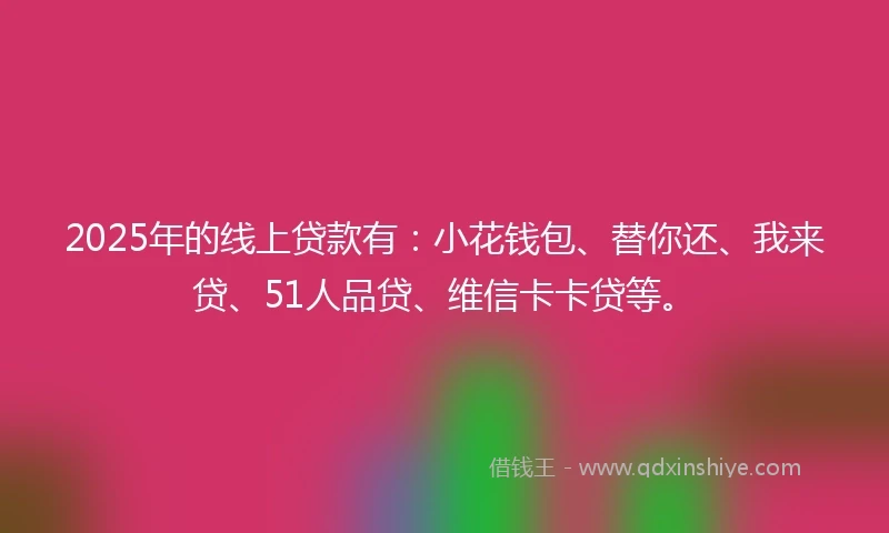 2025年的线上贷款有：小花钱包、替你还、我来贷、51人品贷、维信卡卡贷等。