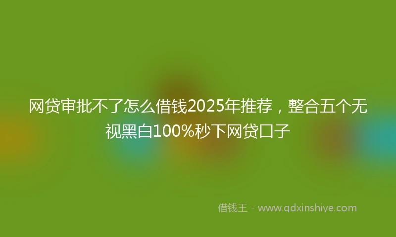 网贷审批不了怎么借钱2025年推荐，整合五个无视黑白100%秒下网贷口子